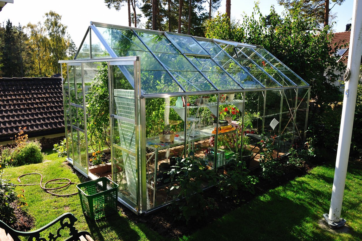Greenhouse with Perspex glazing