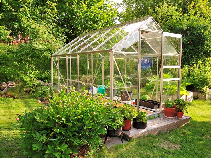 Replacement Acrylic Greenhouse Glazing